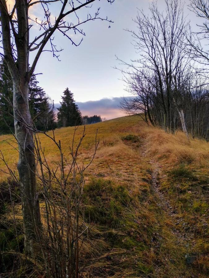 Ferienappartement Potthoff 2 -Hund Willkommen- Altenau  Exterior foto